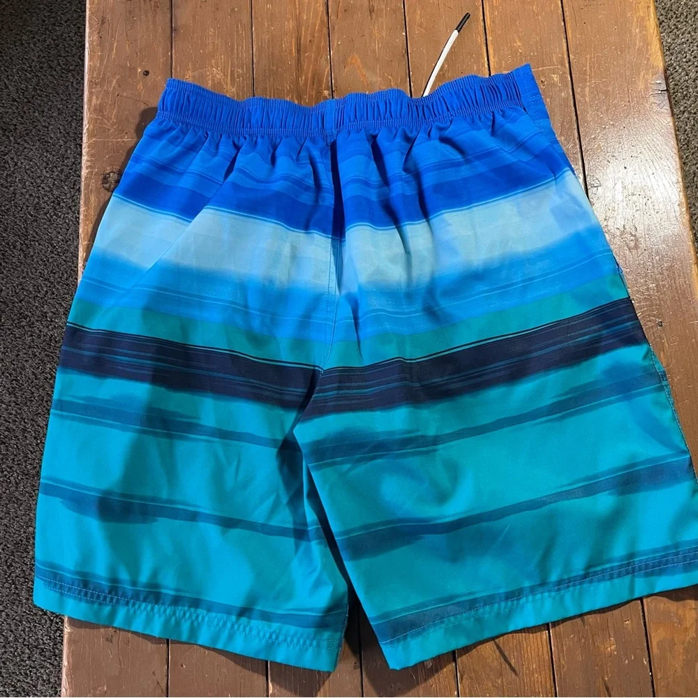 Speedo Men's Ombré Gradient Stripe Stretch Board Shorts Blue